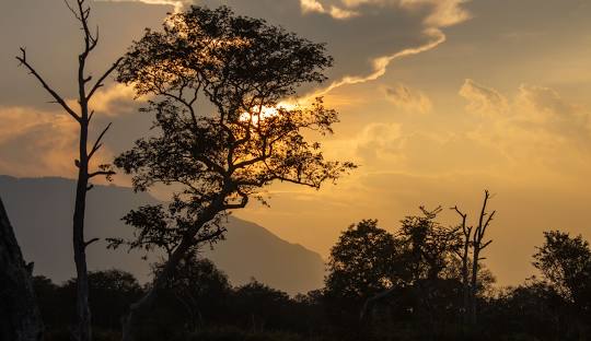 Day 1 – Cochin to Masinagudi