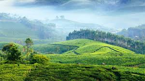 Munnar