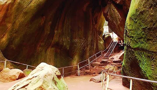 Day 4 – Wayanad Sightseeing and Return to Cochin